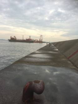 タコ行ってきました