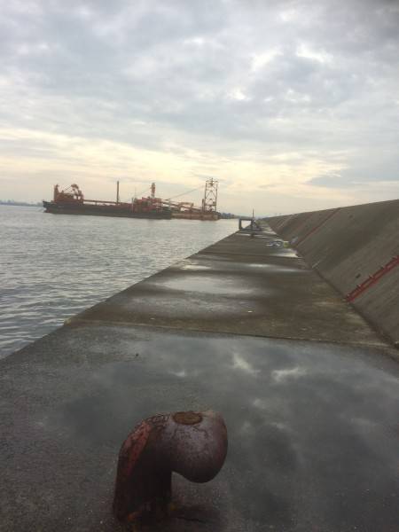 タコ行ってきました