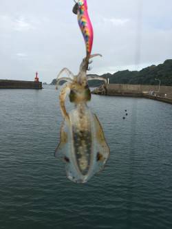 仕事終わりに…