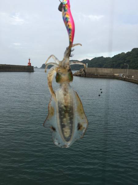 仕事終わりに…