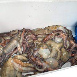 カラーか？誘い方か？