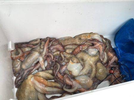 カラーか？誘い方か？