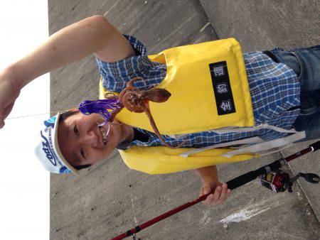 タコ釣り開幕！だが…