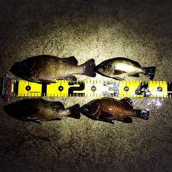 サーフ堪能(*^^*)