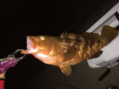 短時間で獲物ゲット