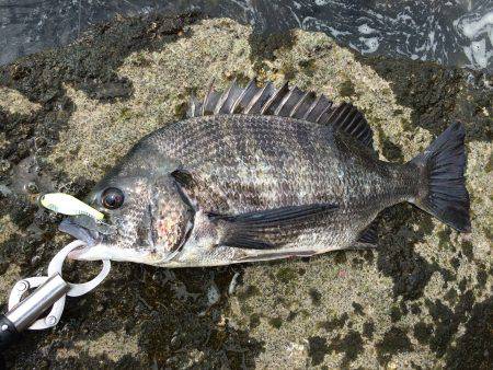 雨による、濁り！
