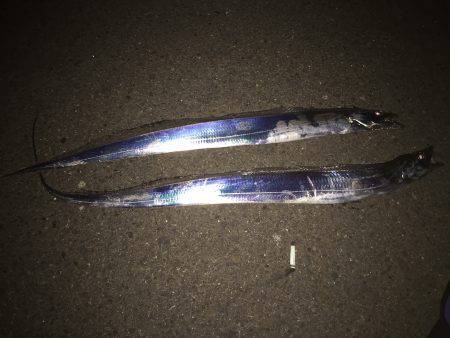 本命って嬉しいですね