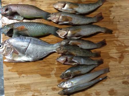 思わぬ珍客(\\\\\\\\\\\\\\\…