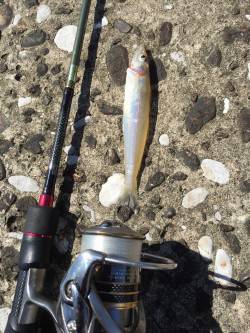 スーパーライト