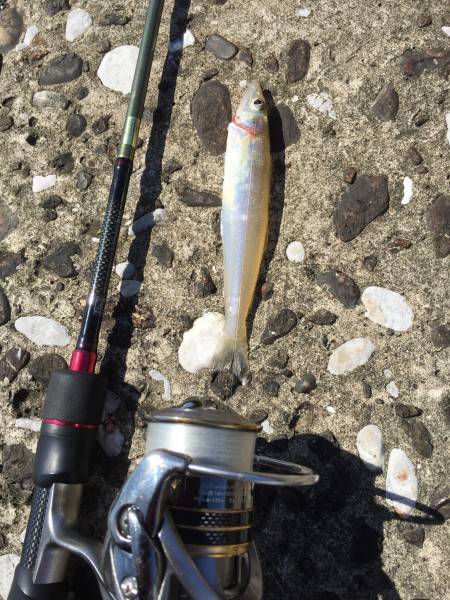 スーパーライト