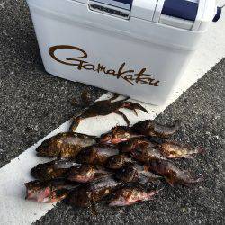 ホールフィッシング