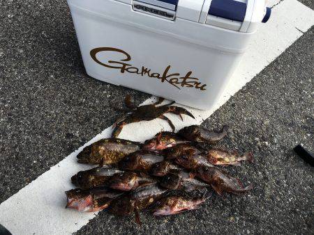 ホールフィッシング