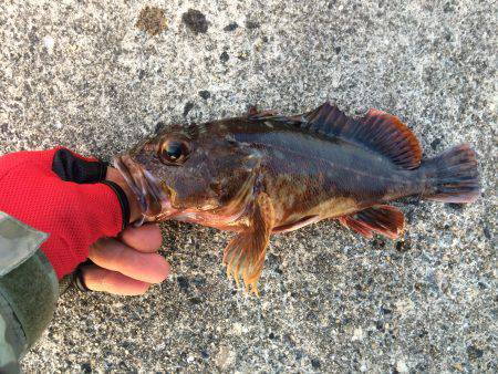深夜に目が覚めて気付いたら、、、