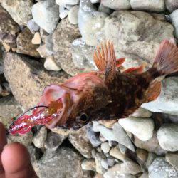 イマイチでした。