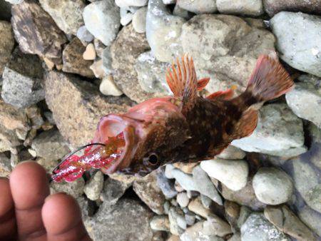 イマイチでした。