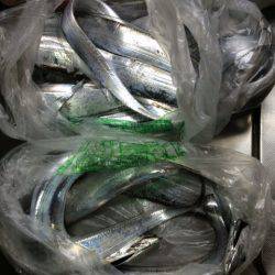 タチウオ開幕戦