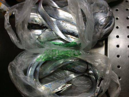 タチウオ開幕戦