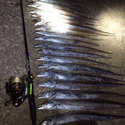 サイズが・・・