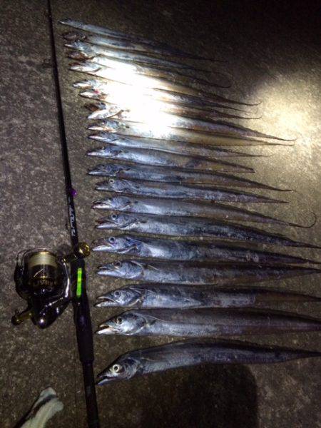 サイズが・・・