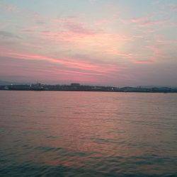 エソしかおらん！