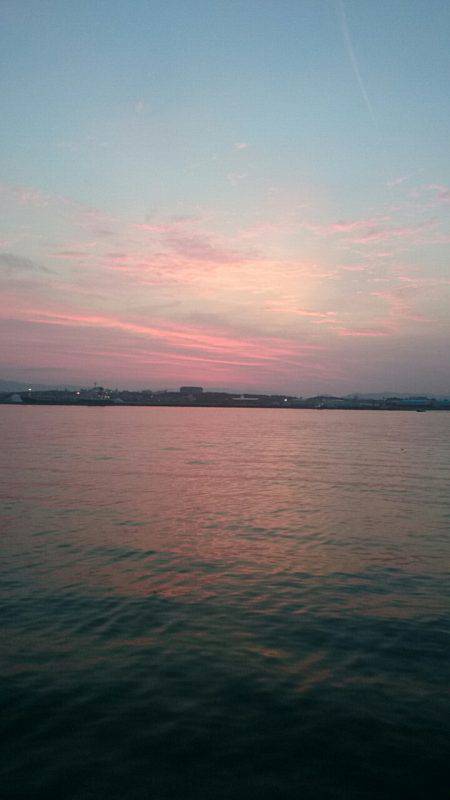 エソしかおらん！