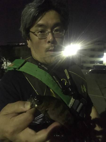 ホゲ散らかしてからの残業ライトゲーム