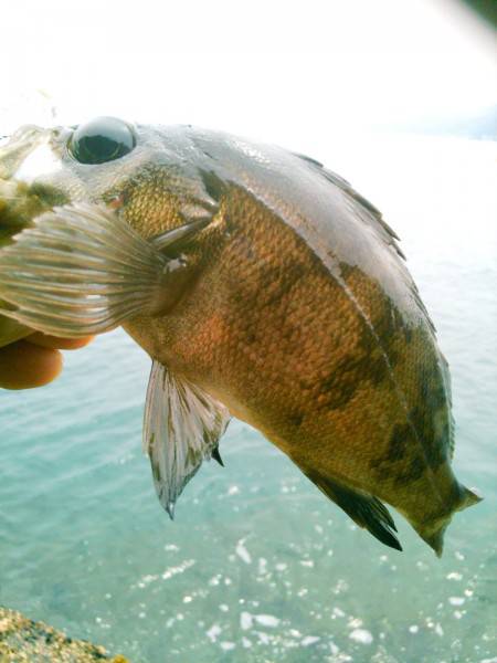 たどり着いたら♪