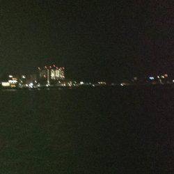 ドブチヌ調査。