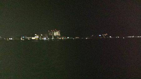 ドブチヌ調査。