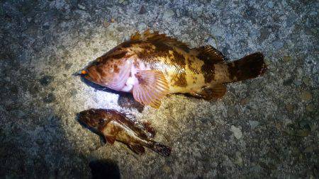 爆風の中、未知との遭遇