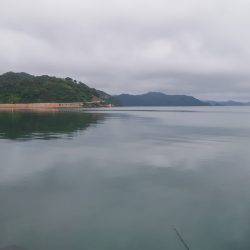 小浜新港コウイカエギング