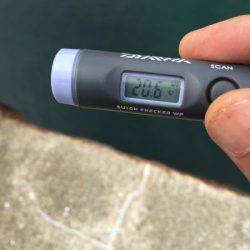 家島でベラの猛攻にあう