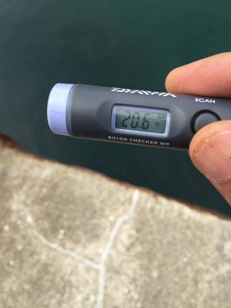 家島でベラの猛攻にあう