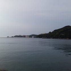 ワインドでタチウオのはずが・・・