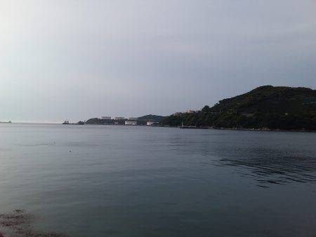 ワインドでタチウオのはずが・・・