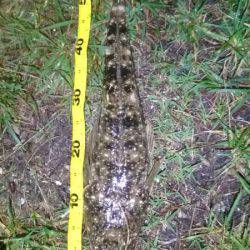 本命バラシまくり