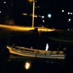 なんとか釣れました！