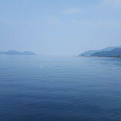 小浜新港エギング・アジング釣行