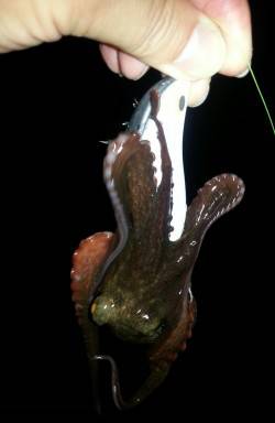 ズドン！が 忘れられなくて。。。