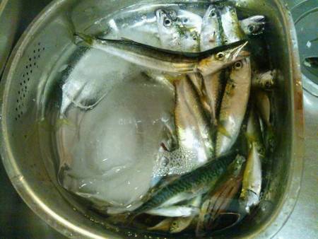 久しぶりに初島で