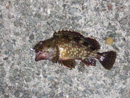 5目まであと1種類