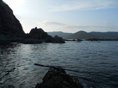 磯でアオリイカのヤエン釣り