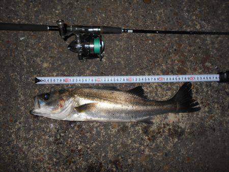 マイクロベイトパターン？