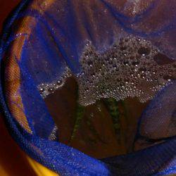 食品コンビナートでサビキ釣り