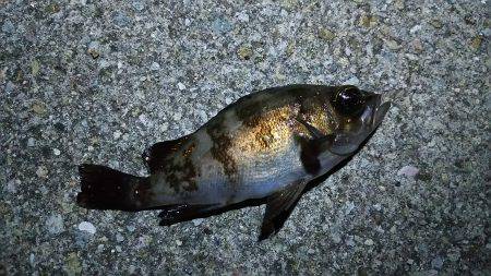 林崎周辺ランガン