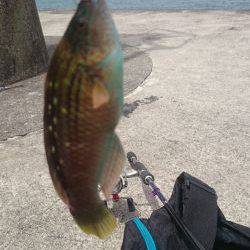 楽しいライトゲーム