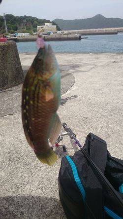 楽しいライトゲーム