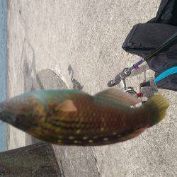 楽しいライトゲーム