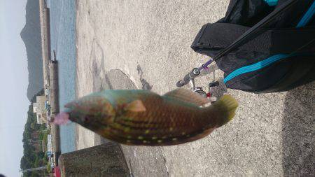 楽しいライトゲーム