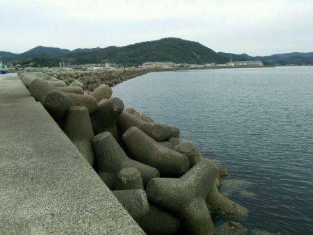 今季初、淡路キス釣り